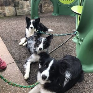 Meet your Posher, Julia